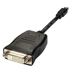 Mini DisplayPort (Male) to DVI (Female) adaptor  